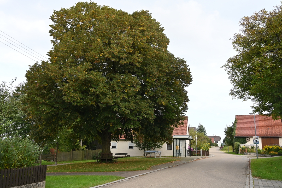 2021-09-27-rohrbach-weg9-1.JPG