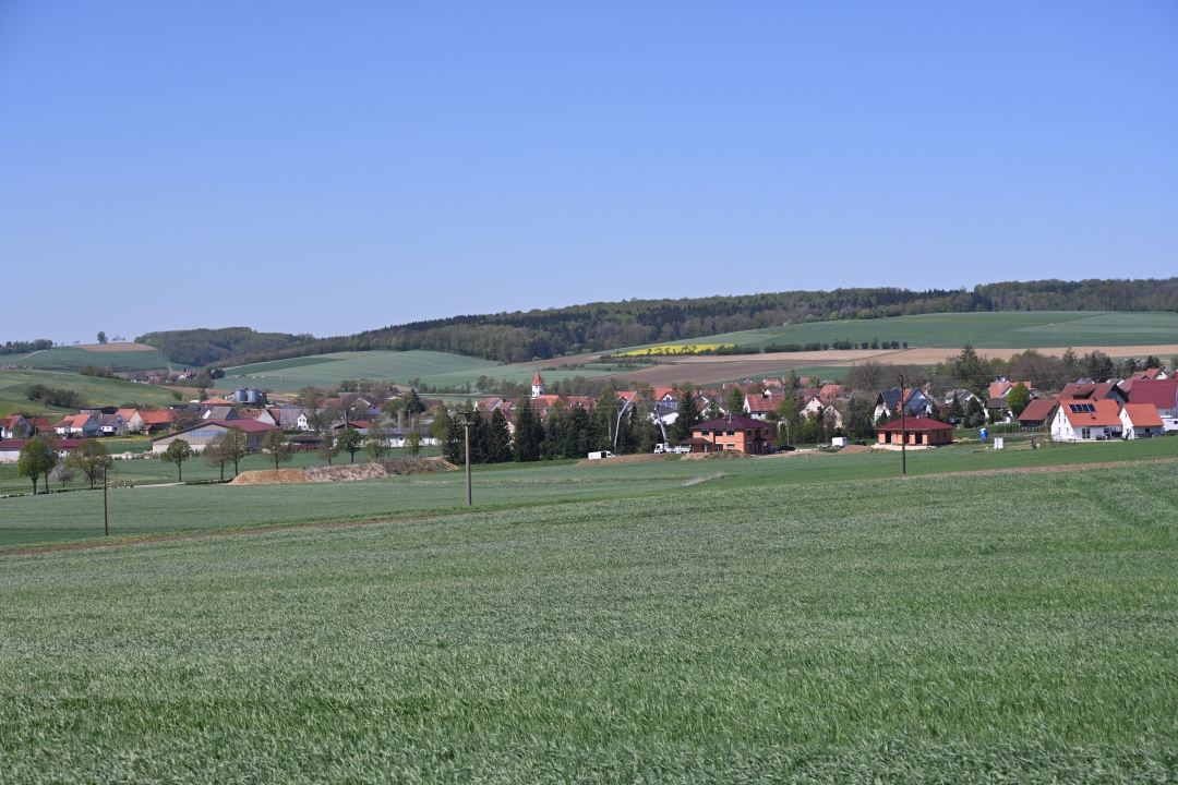 2020-04-22-donaumuenster-brachstadt-fuggerholz-2.jpg