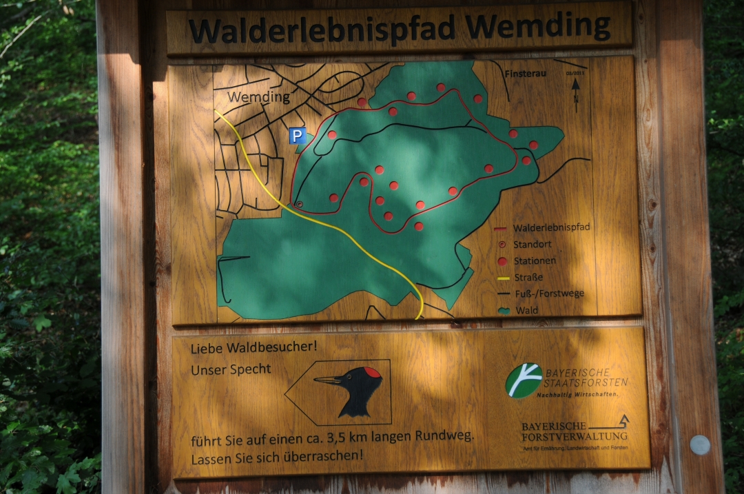 2014-08-05-wemdingWalderlebnispfad-44.jpg