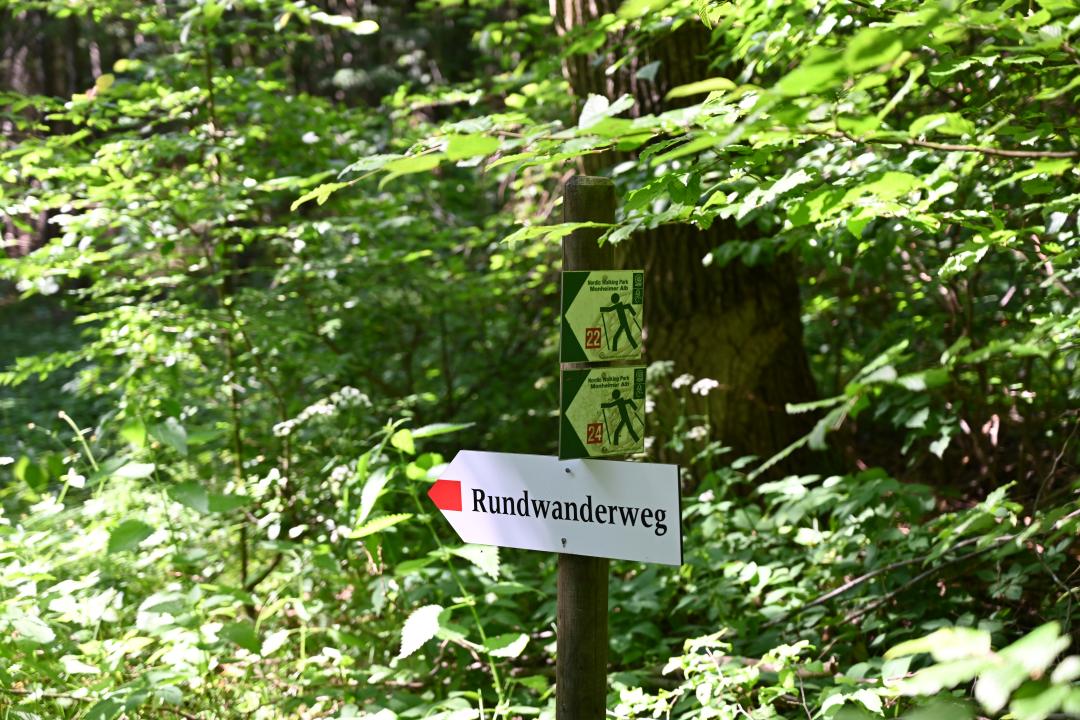 2019-06-17-rundwanderweg-hafenreut1.jpg