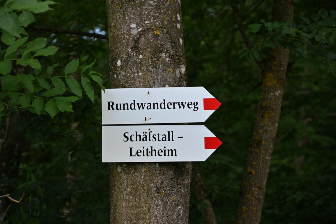 2019-06-17-rundwanderweg-hafenreut8.jpg