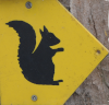 Wanderschild Eichhörnchen